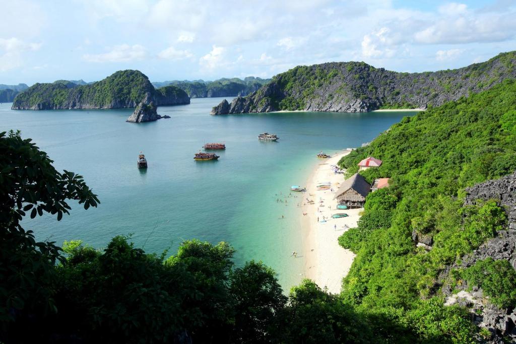 Review Monkey Island Resort